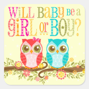 Baby Owls Girl or Boy Gender Reveal - Stickers