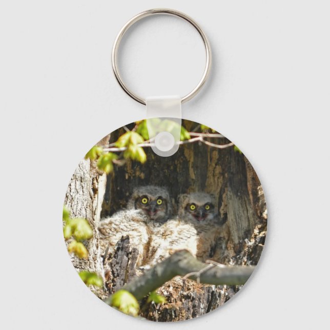 Baby Owls Schlüsselanhänger (Vorderseite)