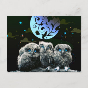 Baby Owls unter dem Mondlicht Postkarte