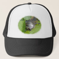 Baby Painted Turtle auf Lilypad Items