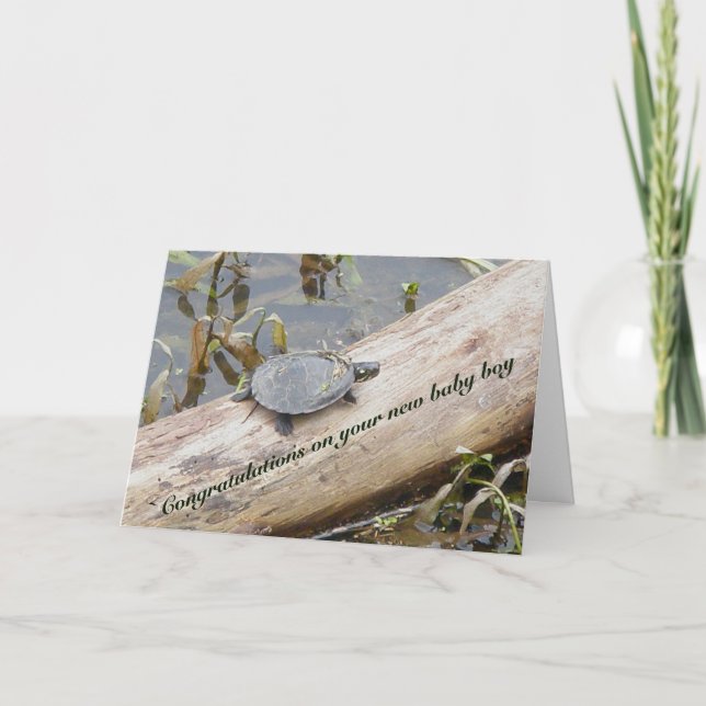 Baby Painted Turtle New Baby Boy Card Karte (Vorderseite)
