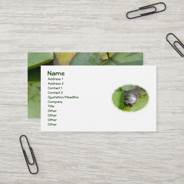 Baby Painted Turtle on Lilypad Business Card Visitenkarte (Vorderseite/Rückseite Beispiel)