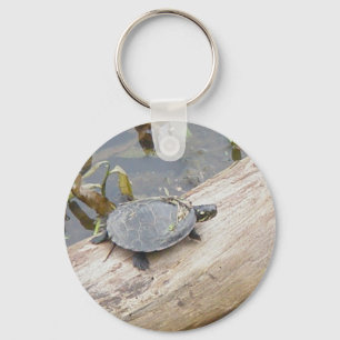 Baby Painted Turtle Schlüsselanhänger