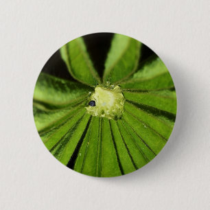 Baby Palm Pflanze von Shirley Taylor Button