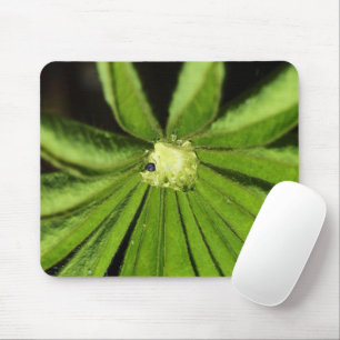 Baby Palm Pflanze von Shirley Taylor Mousepad