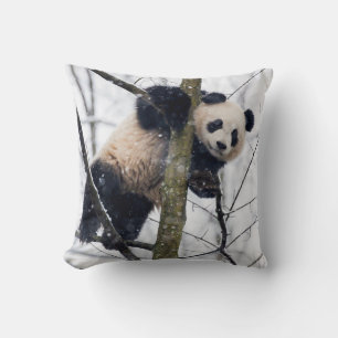Baby-Panda im Baum Kissen