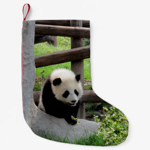 Baby Panda Kleiner Weihnachtsstrumpf