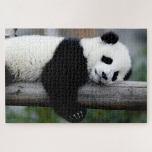 Baby Panda schläft auf einem Baum, Puzzle