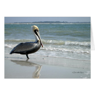Baby Pelican Card