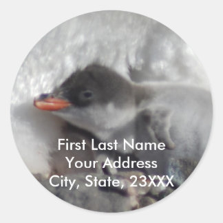 Baby Penguin 2 Adresse de retour Étiquettes ou aut