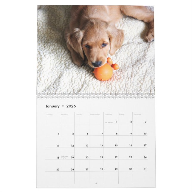 Baby-Penny-Kalender 2015 Kalender (Jan 2026)