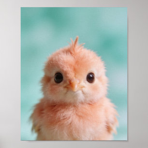 Baby-Pfau-Porträt-Nursery-Wandkunst Poster