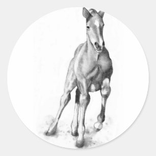 Baby-Pferd, Colt-Betrieb: Bleistift-Kunst Runder Aufkleber