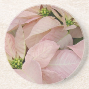 Baby Pink Poinsettia Sandstein Untersetzer