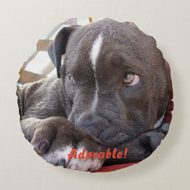 Baby Pitbull Puppy Rundes Kissen (Vorderseite)