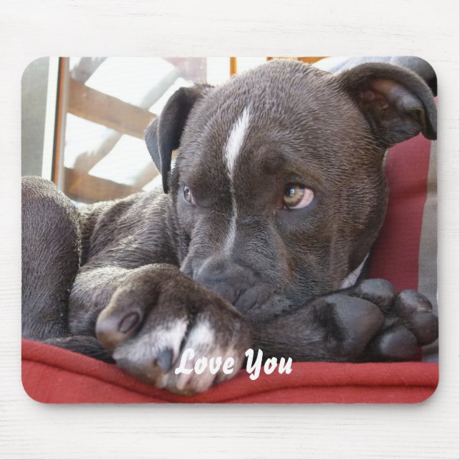 Baby Pitbull Welpe Mousepad (Vorne)