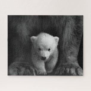 Baby-Polar-Bär bei Muttermilch, Schwarz und Weiß