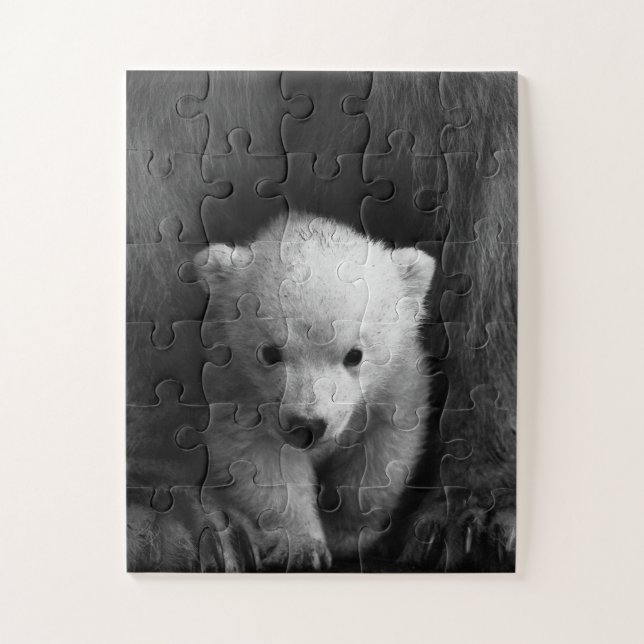 Baby Polar Bear mit Mutter, Schwarz und Weiß (Vertikal)
