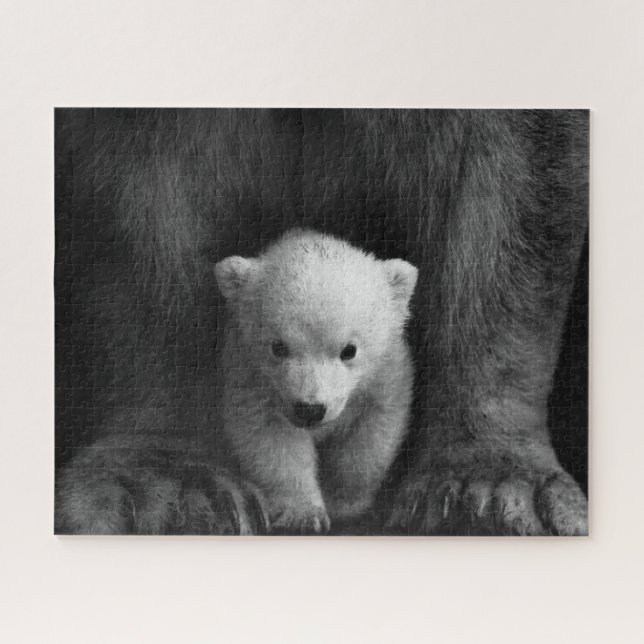 Baby Polar Bear mit Mutter, Schwarz und Weiß (Horizontal)