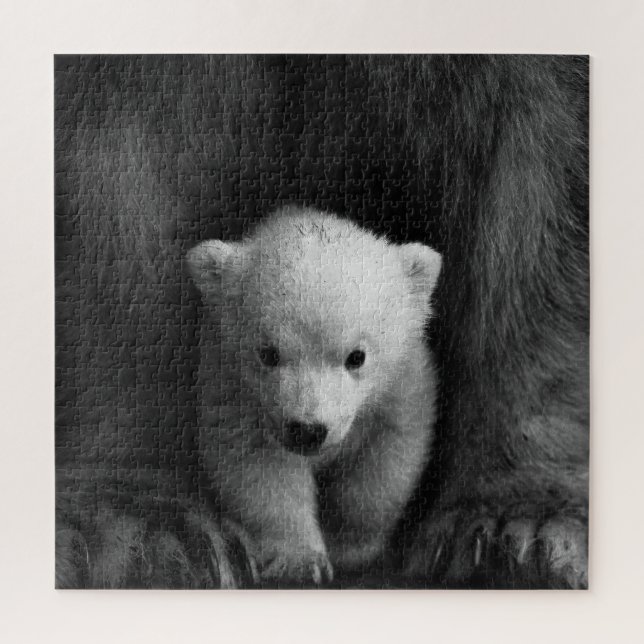 Baby Polar Bear mit Mutter, Schwarz und Weiß (Vertikal)