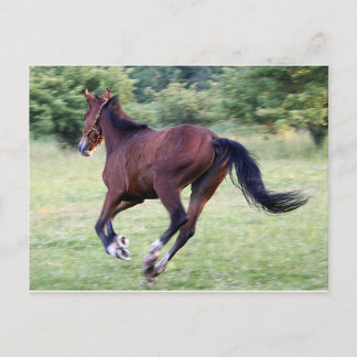 Baby Postkarte