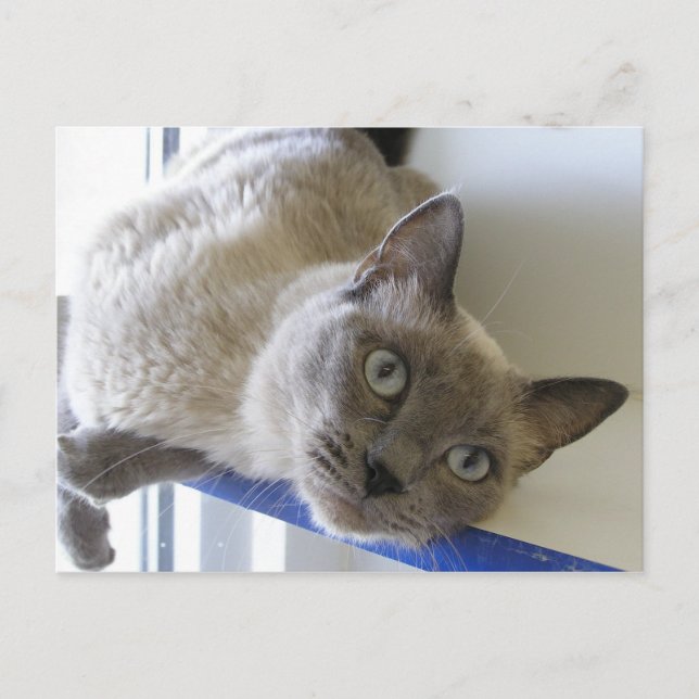 Baby Postkarte (Vorderseite)