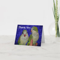 Baby Quaker Parrots Animal Danke Karte