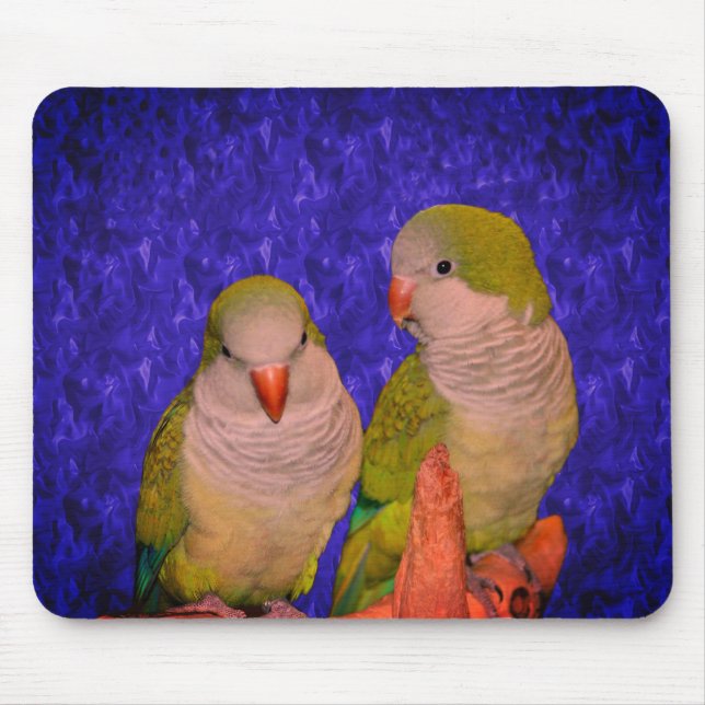 Baby Quaker Parrots Animal Mousepad (Vorne)