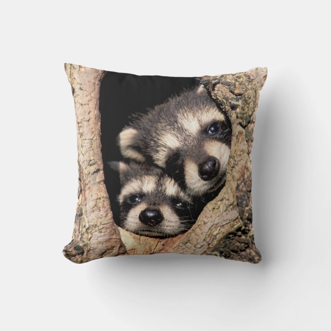 Baby Raccoons pinkeln aus Bäume Kissen (Vorderseite)