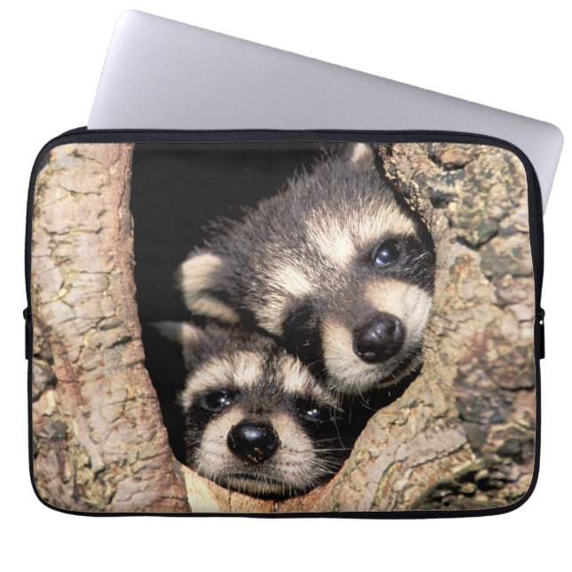 Baby Raccoons pinkeln aus Bäume Laptopschutzhülle (Vorderseite)