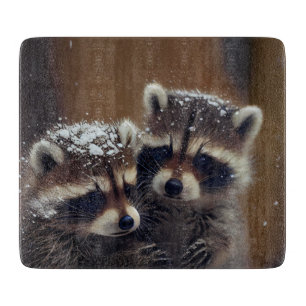 Baby Raccoons stürzen sich in Fallschneeglas Schneidebrett