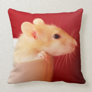 Baby-Ratte Kissen