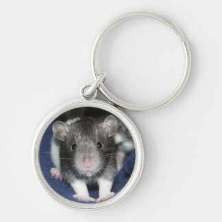 Baby-Ratten-Schlüsselanhänger Schlüsselanhänger