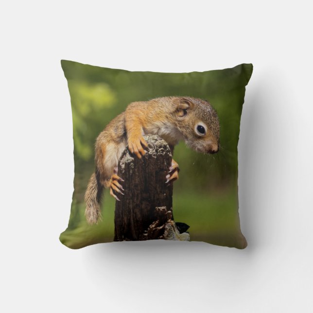 Baby Red Squirrel Kissen (Vorderseite)