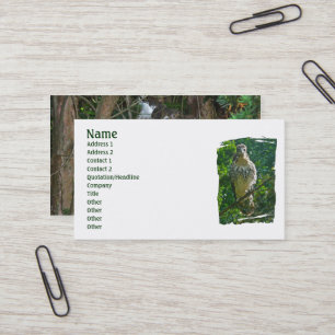 Baby Red Tail Hawk Business Card Visitenkarte