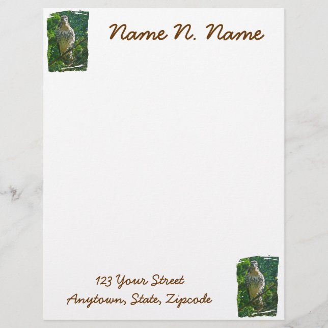 Baby Red Tail Hawk Letterhead Stationery Briefbogen (Vorderseite)