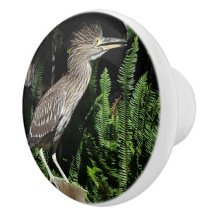 Baby-Reiher-Vogel-Tier-Tier-Griff Keramikknauf
