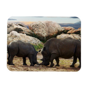 Baby Rhinoceros Life Lesson, Magnet