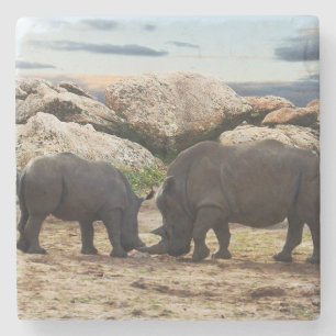 Baby Rhinoceros Life Lesson, Steinuntersetzer