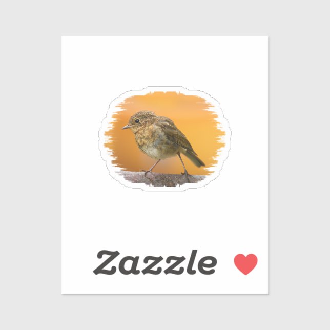 Baby Robin auf einem Baumzweig Aufkleber (Blatt)
