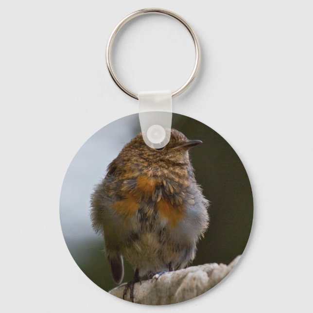 Baby Robin Keyring Schlüsselanhänger (Vorderseite)