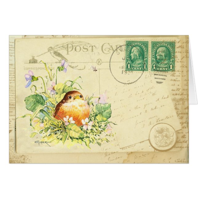Baby Robin mit Violets Postcard (Vorderseite (Horizontal))