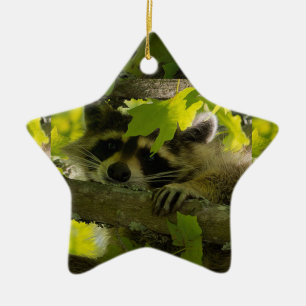 Baby Roccoon Keramik Ornament