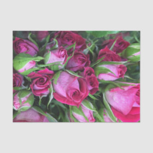 Baby-Rosenknospen Seidenpapier