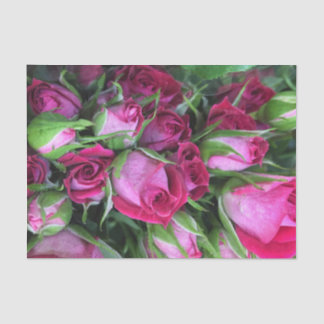 Baby-Rosenknospen Seidenpapier