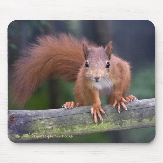 Baby-Rot Mousemat Mousepad (Vorne)