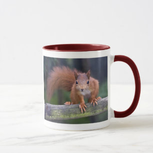 Baby-Rot-Tasse Tasse