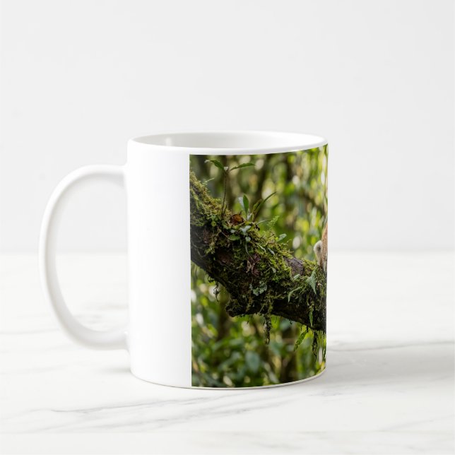 Baby-Rotpanda-Ruht auf einem Baum Kaffeetasse (Links)