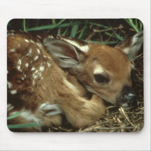 Baby-Rotwild-Mausunterlage Mousepad