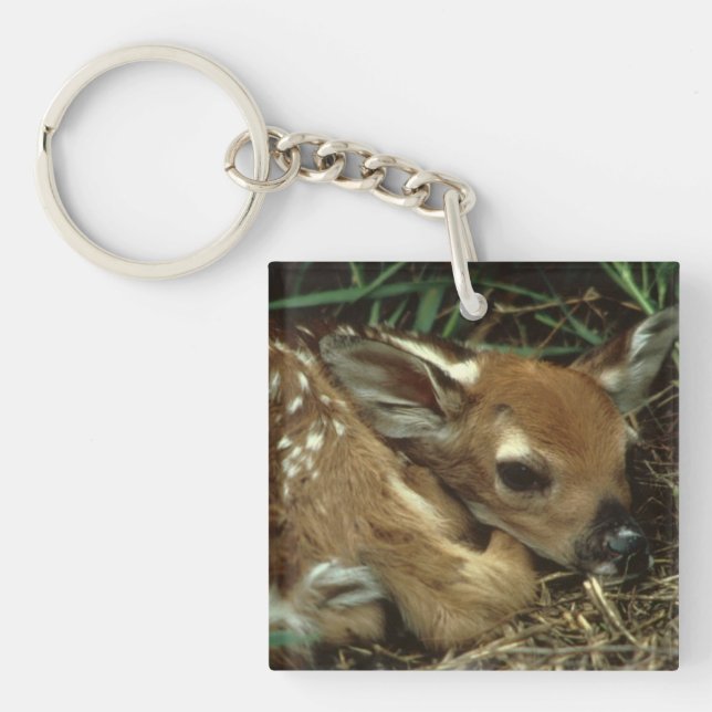 Baby-Rotwild-Schlüsselanhänger Schlüsselanhänger (Vorderseite)